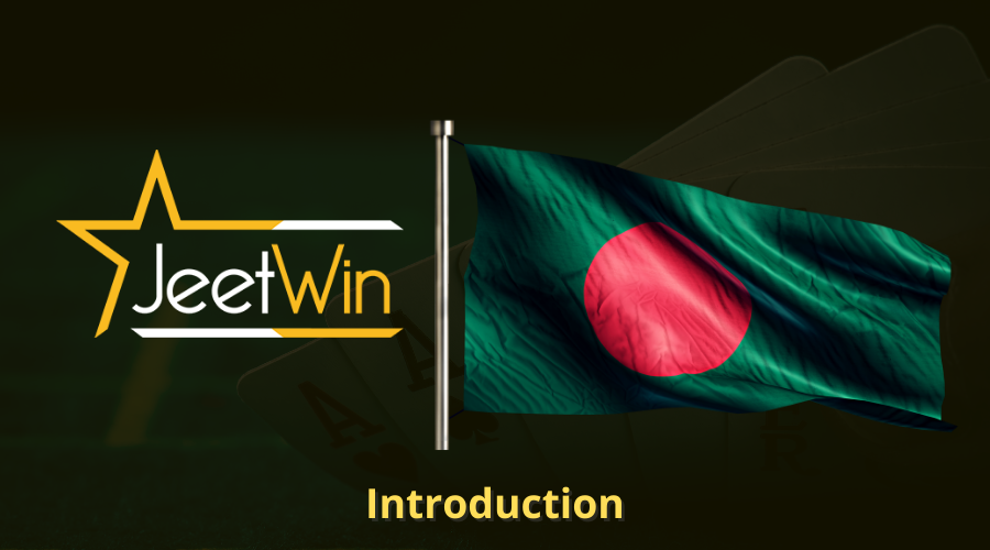 JeeTwin দিয়ে আমার সঞ্চয়ের অগ্রগতি শেয়ার করতে পারি কি?